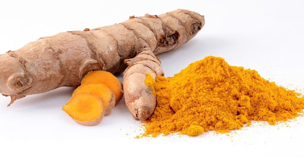 Radice e polvere da Curcuma longa