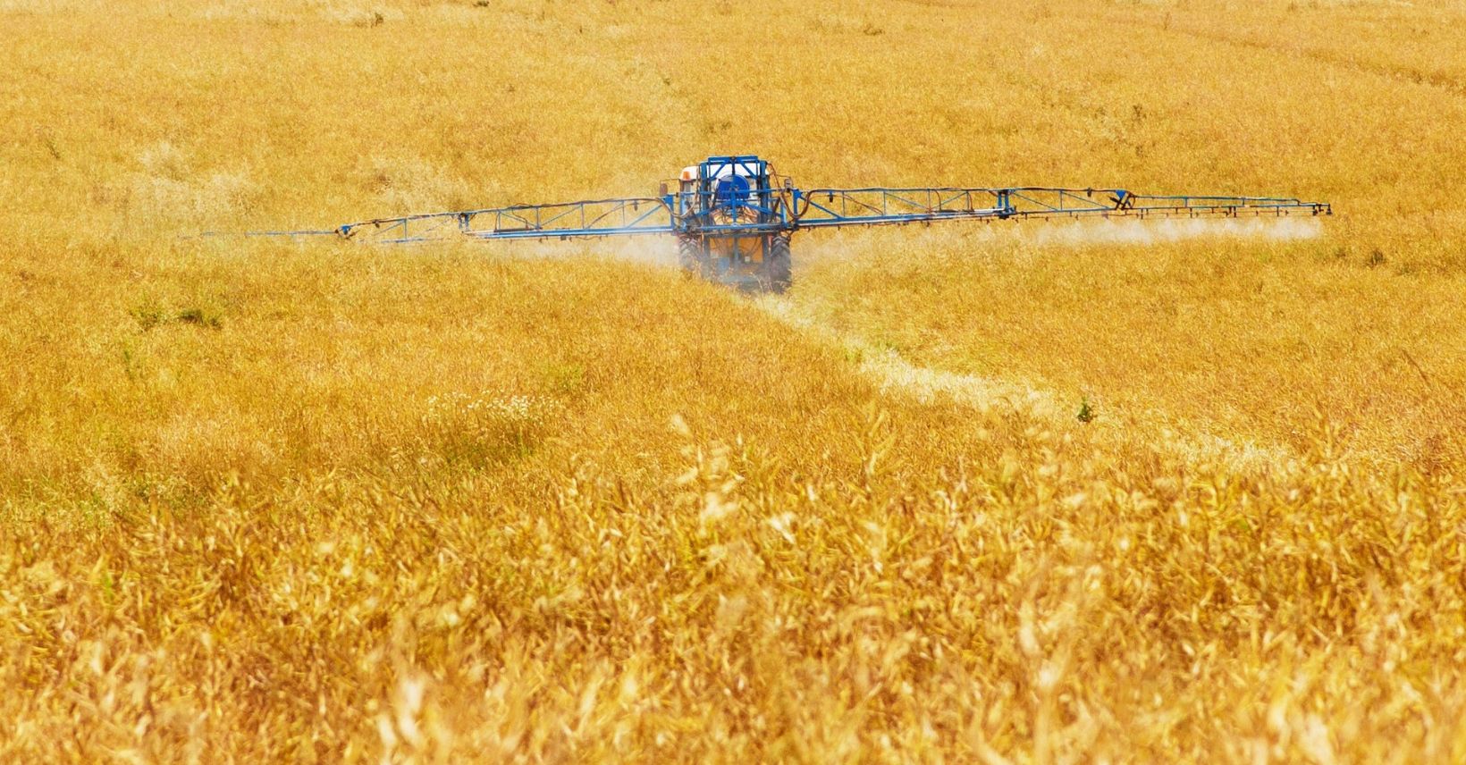 Spargimento di pesticidi con un trattore su un campo di grano